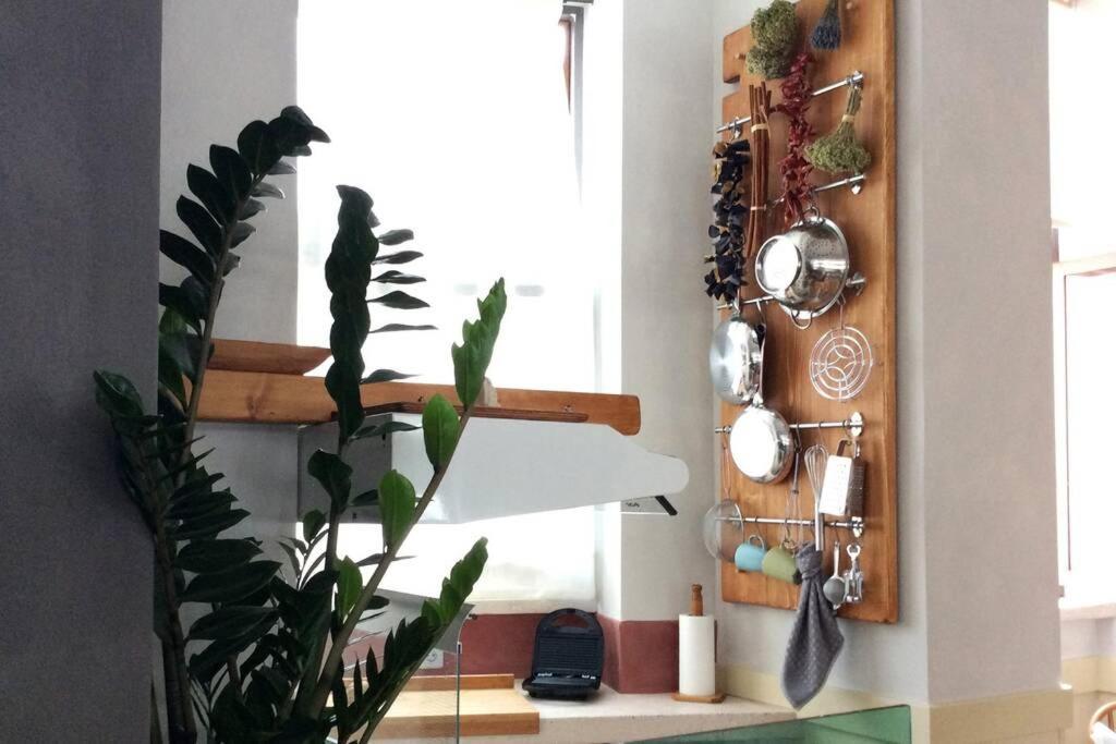 Unique - Spacious Studio With Rooftop / Thissio Ateny Zewnętrze zdjęcie